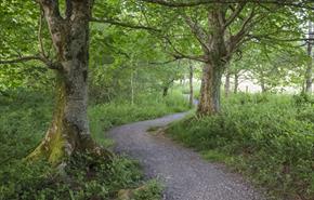 Celebrate St David's Day at Glan Faenol